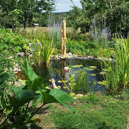 Bed & Breakfast Notre Reve - D'hotes