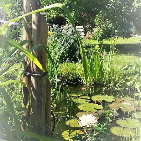 Oda ve Kahvaltı Notre Reve - D'hotes 3*